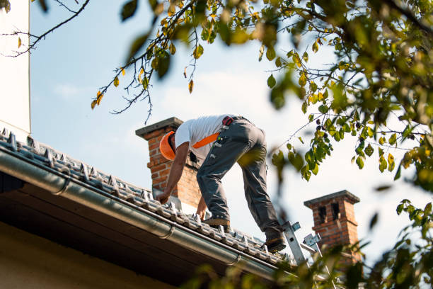 Best Gutter Installation and Roofing  in Rutherford, PA