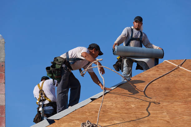 Best New Roof Installation  in Rutherford, PA
