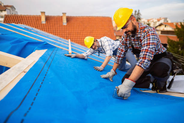 Best Gutter Installation and Roofing  in Rutherford, PA